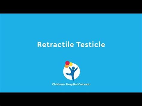 testiscle drop test|what is a retractable testicle.